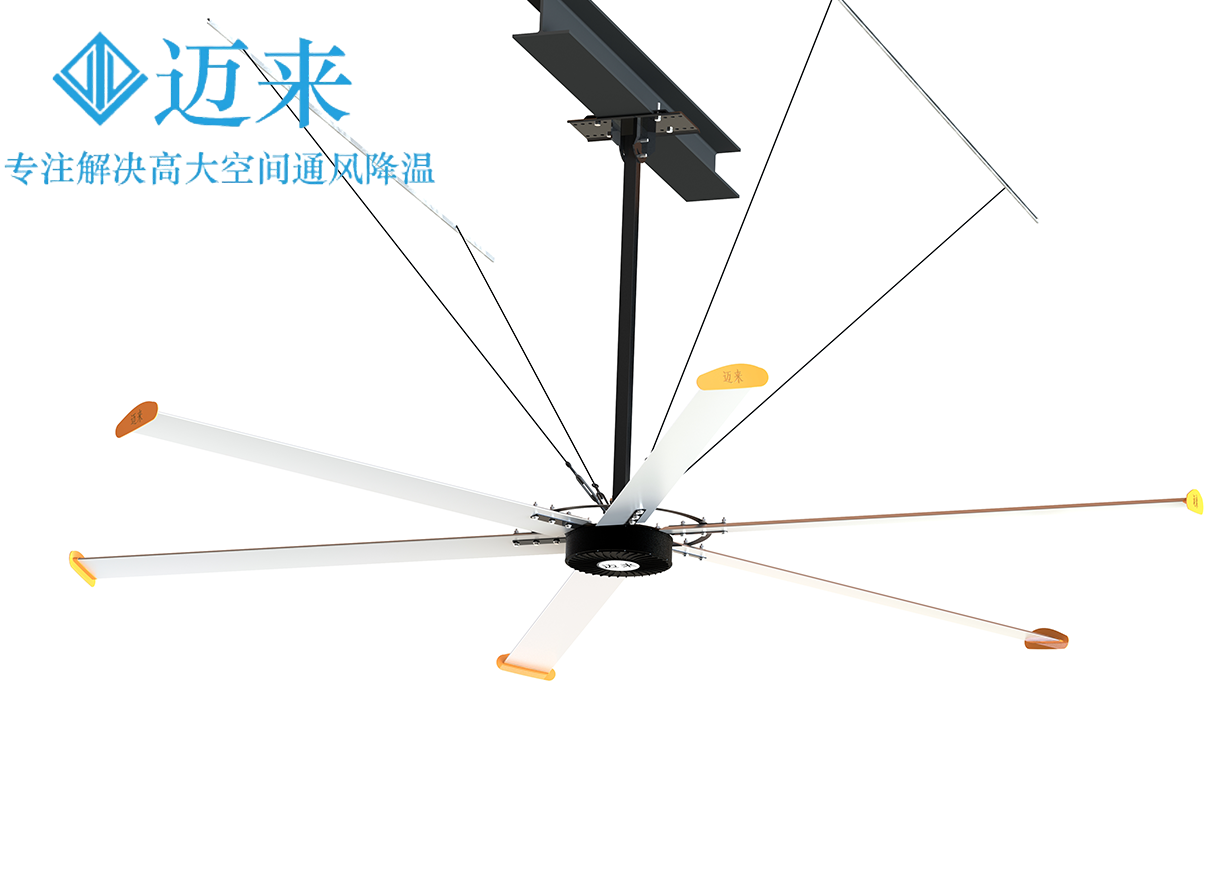 <strong>风华工业大风扇</strong>